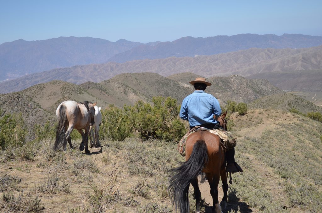 Daniel the "Gaucho" Cabalgata al atardecer Mendoza Horseback Riding Mendoza