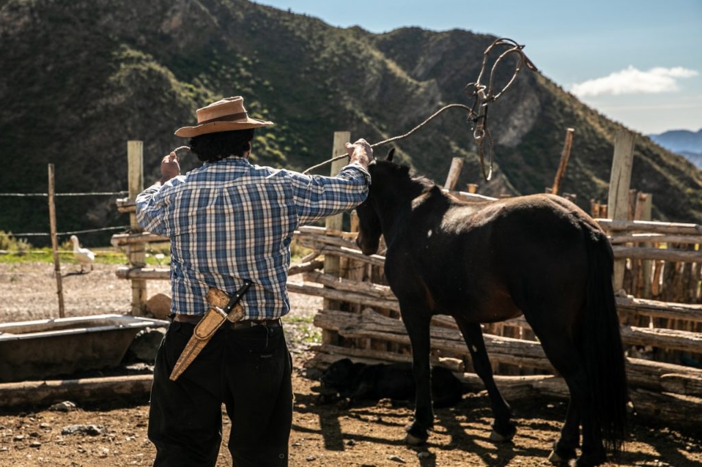 Rancho Don Daniel empezando a juntar los caballos horseback ride sunset Mendoza