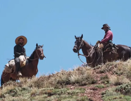 Andes crossing on horseback via the Piuquenes Pass