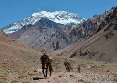 ASCENSO AL CERRO ACONCAGUA
