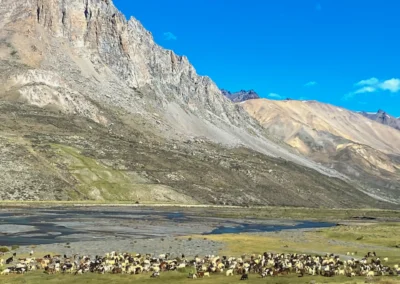 CABALGATA HISTÓRICA DE 4 DÍAS AL AVIÓN DE LOS URUGUAYOS
