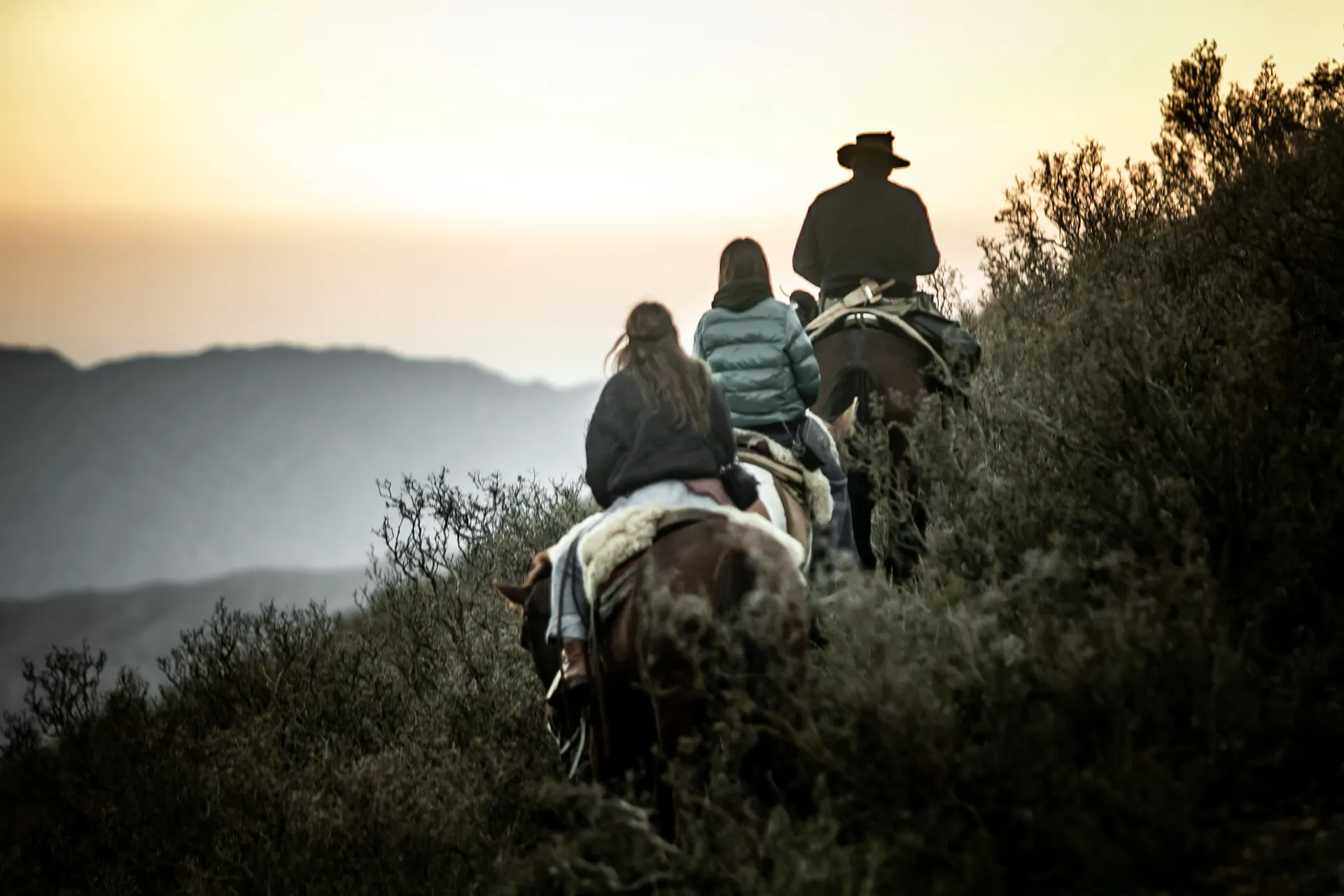 CABALGATA AL ATARDECER EN LOS ANDES