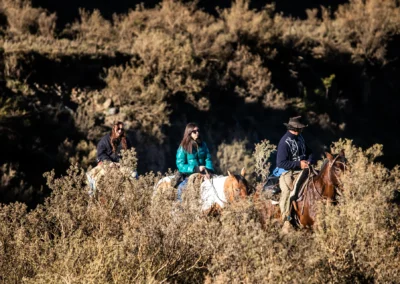 CABALGATA AL ATARDECER EN LOS ANDES