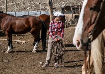 DÍA GAUCHO: GABALGATA Y ASADO
