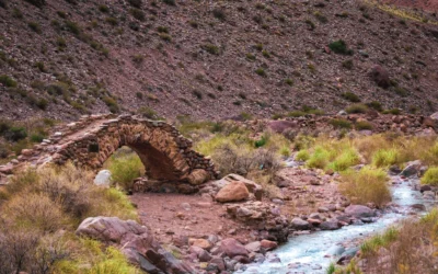 Laguna Horcones Tour – One Day