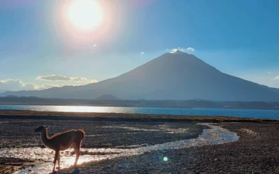 Laguna del Diamante Tour – One Day