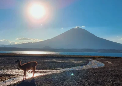 TOUR LAGUNA DEL DIAMANTE EN UN DÍA