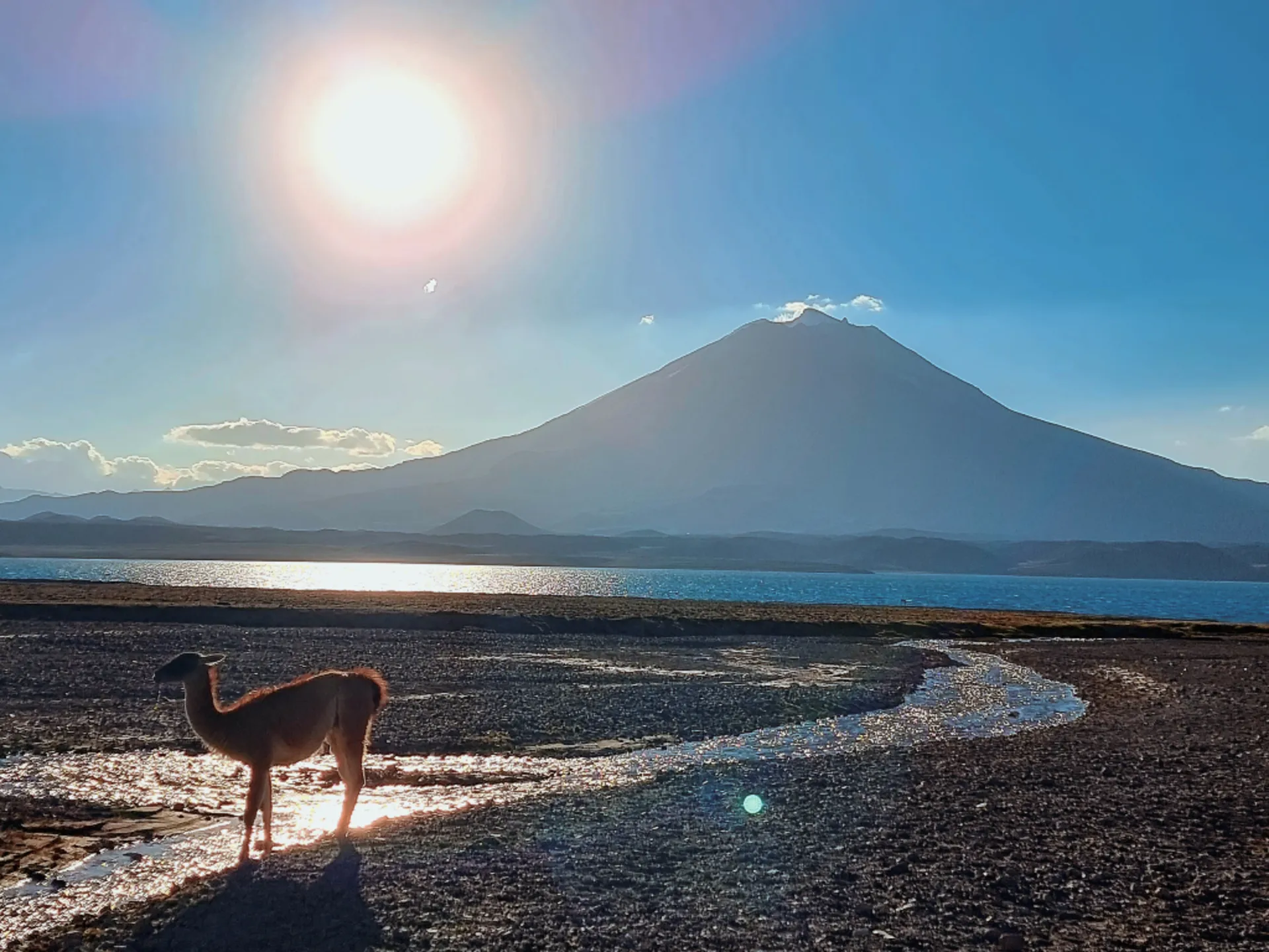 TOUR LAGUNA DEL DIAMANTE EN UN DÍA