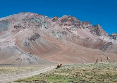 TOUR LAGUNA DEL DIAMANTE EN UN DÍA