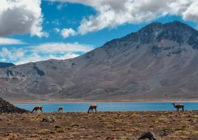 TOUR LAGUNA DEL DIAMANTE EN UN DÍA