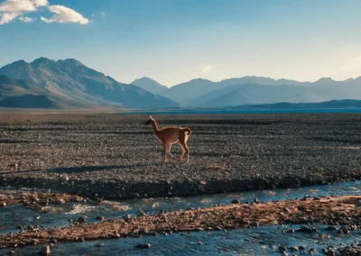 TOUR LAGUNA DEL DIAMANTE EN UN DÍA