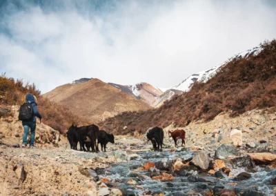 DÍA CRIOLLO: TREKKING Y ASADO