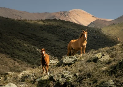 2-DAY HORSEBACK ADVENTURE IN THE ANDES